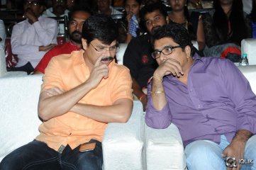 Rough Movie Audio Launch